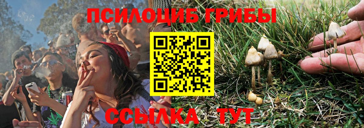 Кандалакша  Псилоцибиновые грибы мухоморы  Вход с VPN  Галлюциногенные грибы мицелий 